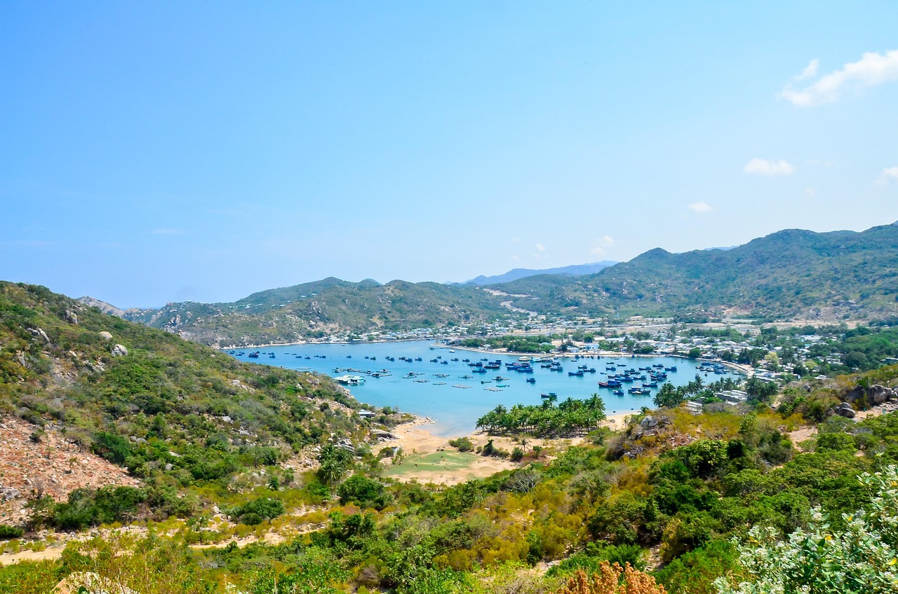 环境部：全国已有159个海湾出台美丽海湾建设方案